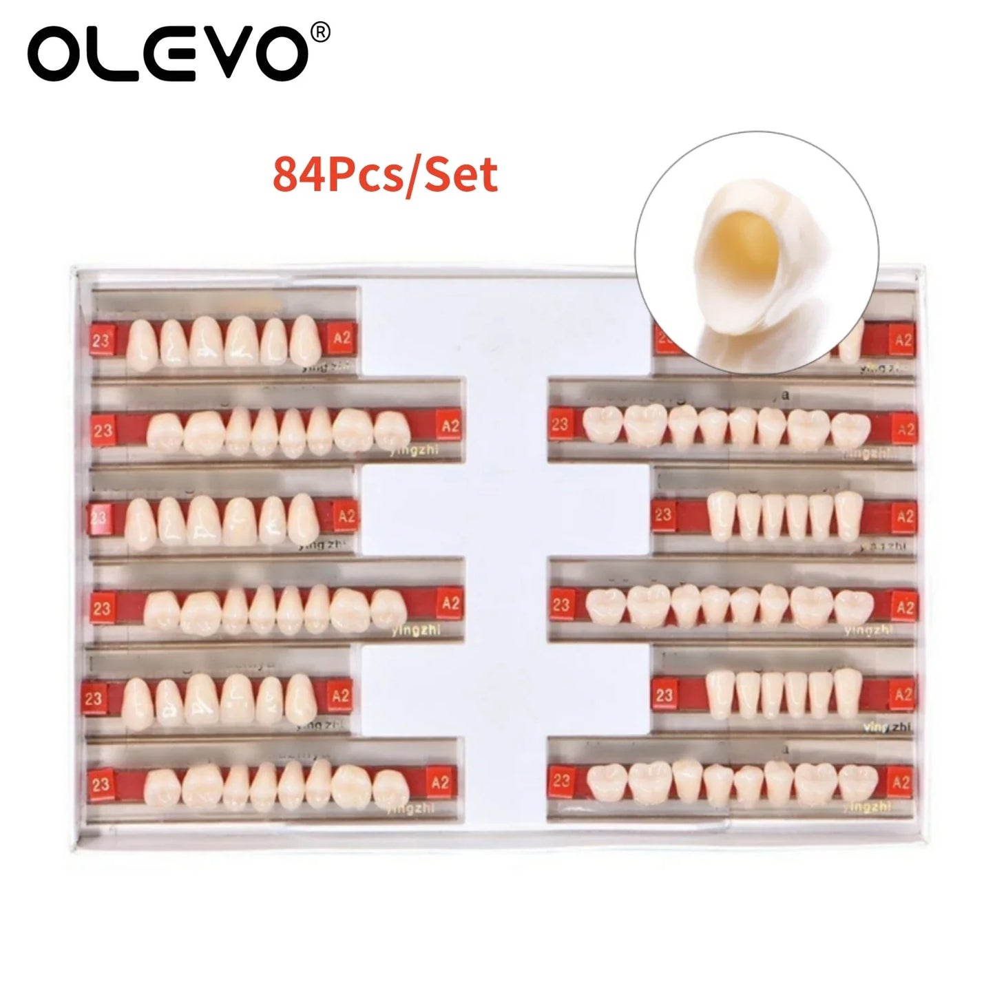 84PCS Dental Acrylic Resin Denture Teeth Set – Full Mouth Upper & Lower False Teeth Model (A1/A2/A3, S/M/L Sizes)