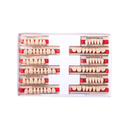 16/12 Set Dental Denture Teeth Model Kit, Upper & Lower Anterior Synthetic Polymer Teeth A2 A3 for Dental Education & Training