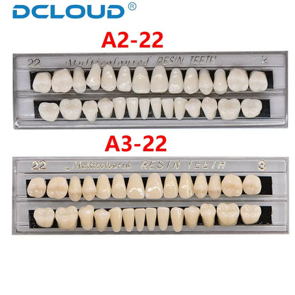 28-Teeth Dental Acrylic Resin Denture Set – Upper & Lower False Teeth Model (A2/A3, Shade 22# & 23#) for Dental Education & Research