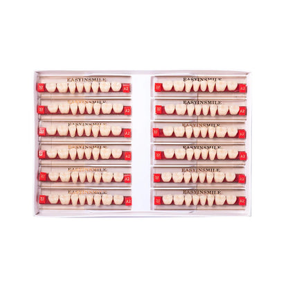 16/12 Set Dental Denture Teeth Model Kit, Upper & Lower Anterior Synthetic Polymer Teeth A2 A3 for Dental Education & Training