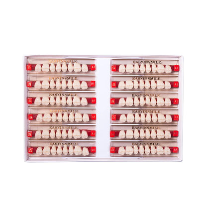 16/12 Set Dental Denture Teeth Model Kit, Upper & Lower Anterior Synthetic Polymer Teeth A2 A3 for Dental Education & Training