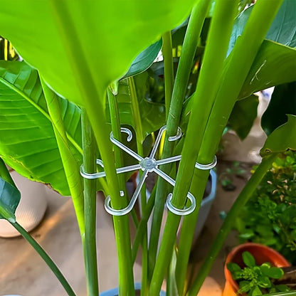 4-Piece Plant Support Clips - Turtle Back Stem Fixators for Garden, Hydroponic & Tree Branch Support