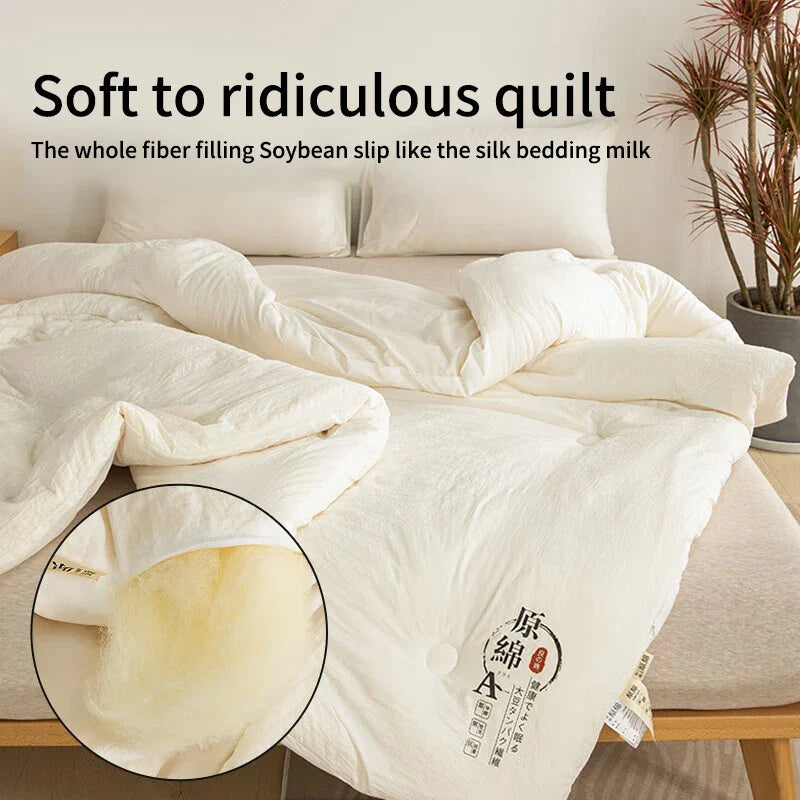 Raw Cotton & Soybean Quilt – Thickened Spring, Autumn & Winter Comforter