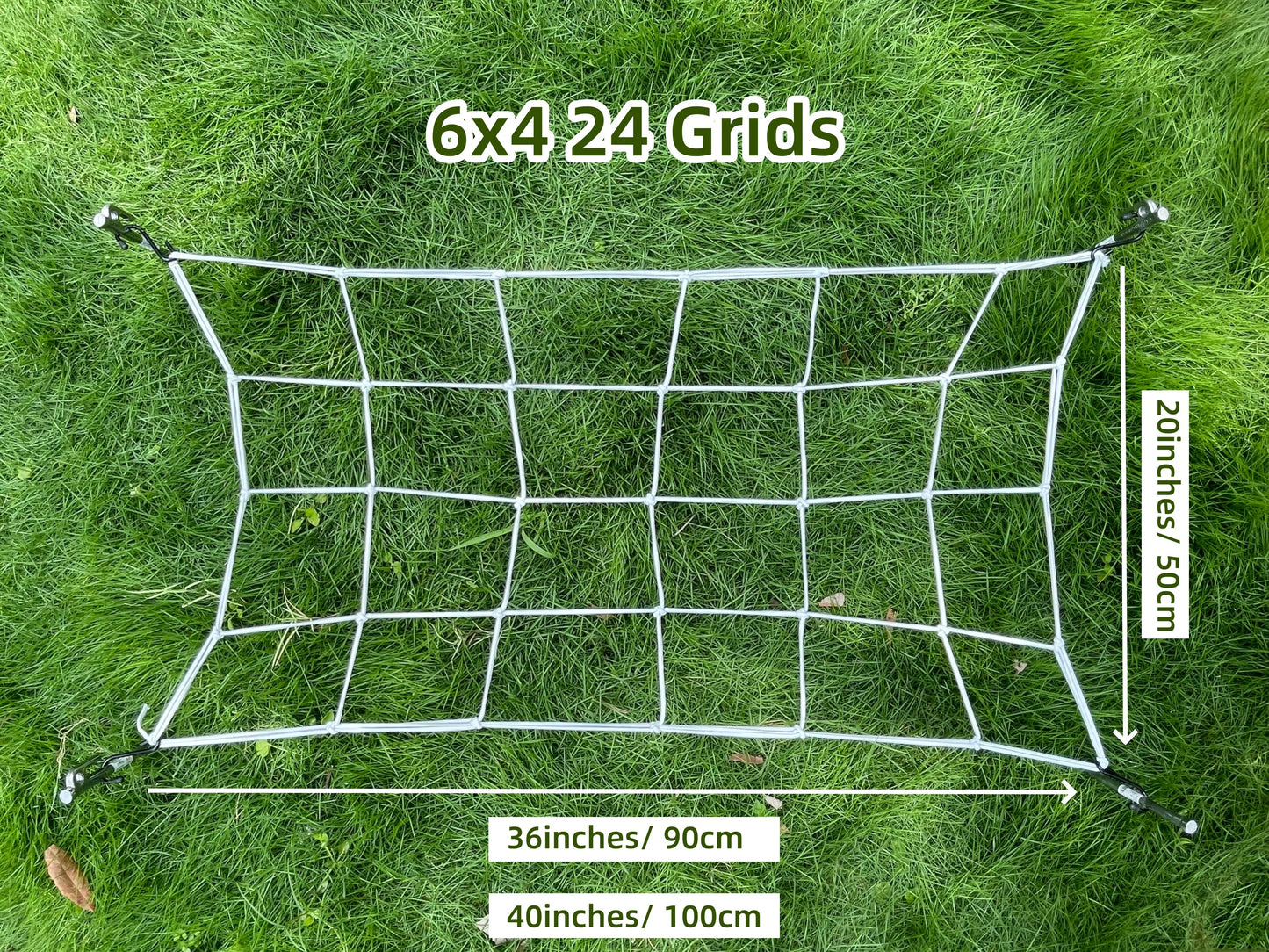 5.03536E+13