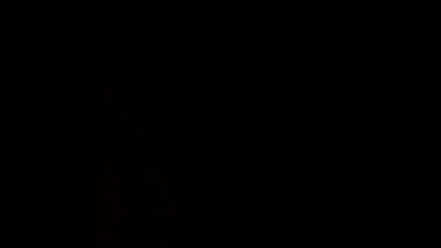 9ft Ground Flag Pole for Outside House – Tangle-Free, Wind-Resistant, Rustproof with 5-Prong Yard Flag Stand (Flag Not Included)